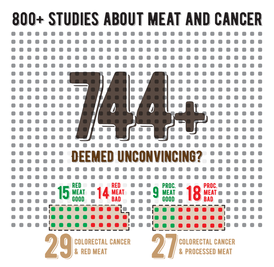 infographic of the 800 epidemiological studies in WHO report about meat and cancer