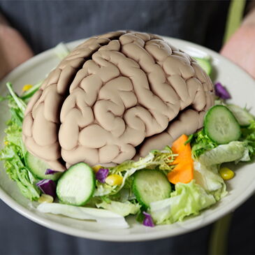 brain on plants
