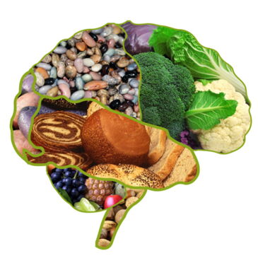 brain composed of plant foods