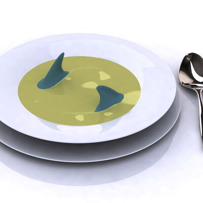 shark soup