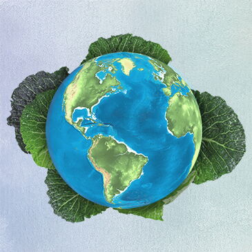 EAT-Lancet's plant-based planet resting on a bed of cabbage