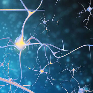 healthy neurons