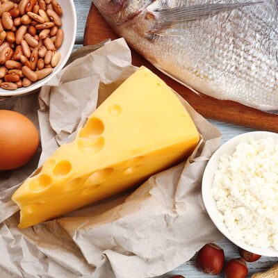 animal and plant sources of protein